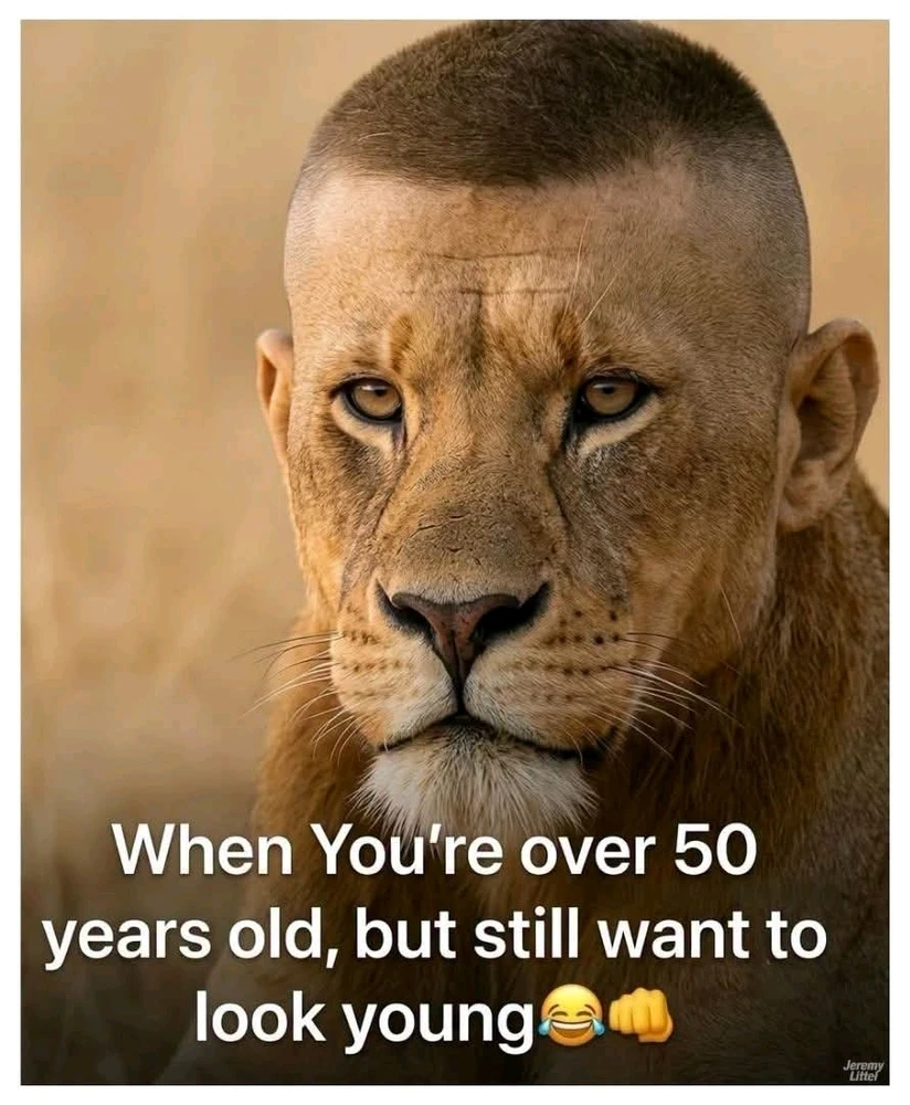 GIF ארויפגעלאדן דורך Valerie