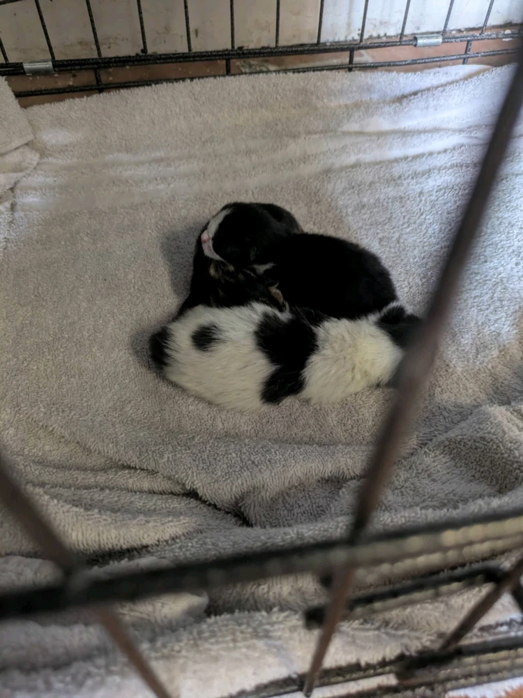 GIF uploaded by Shanice