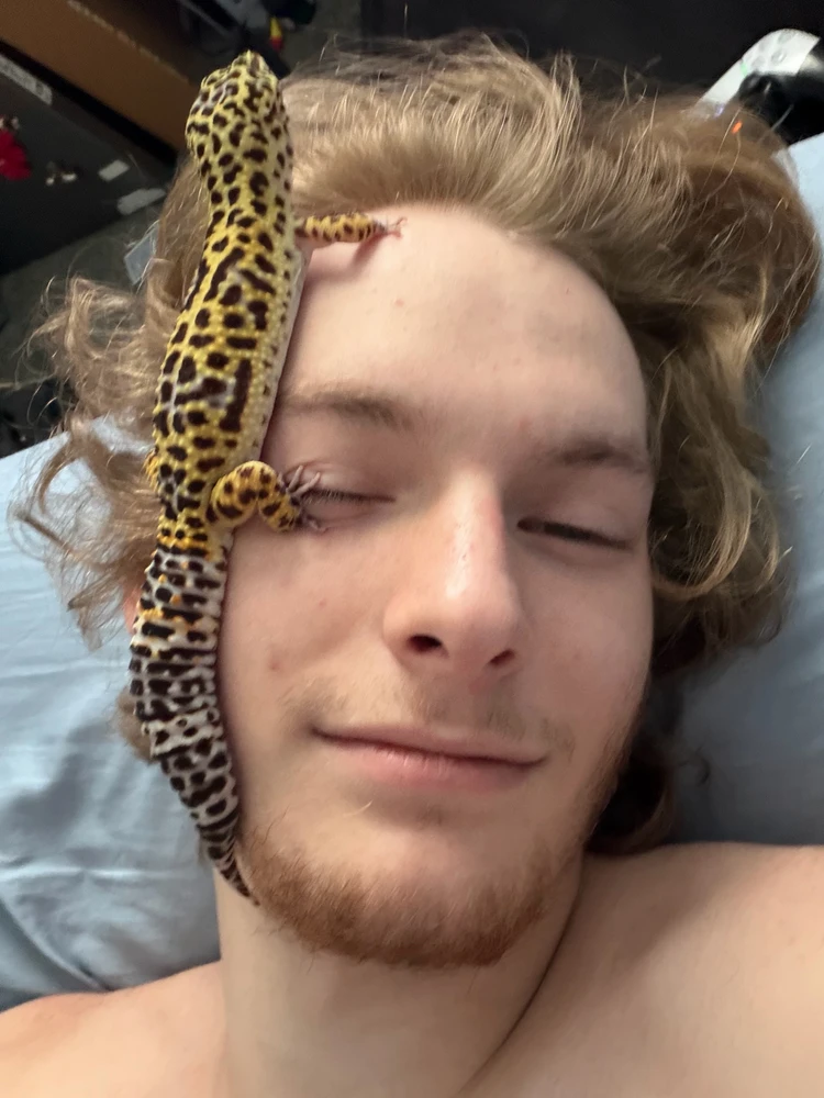 GIF eropgeluede vum Brandon