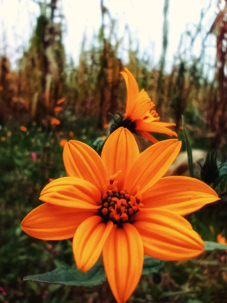 GIF uploaded by Mg