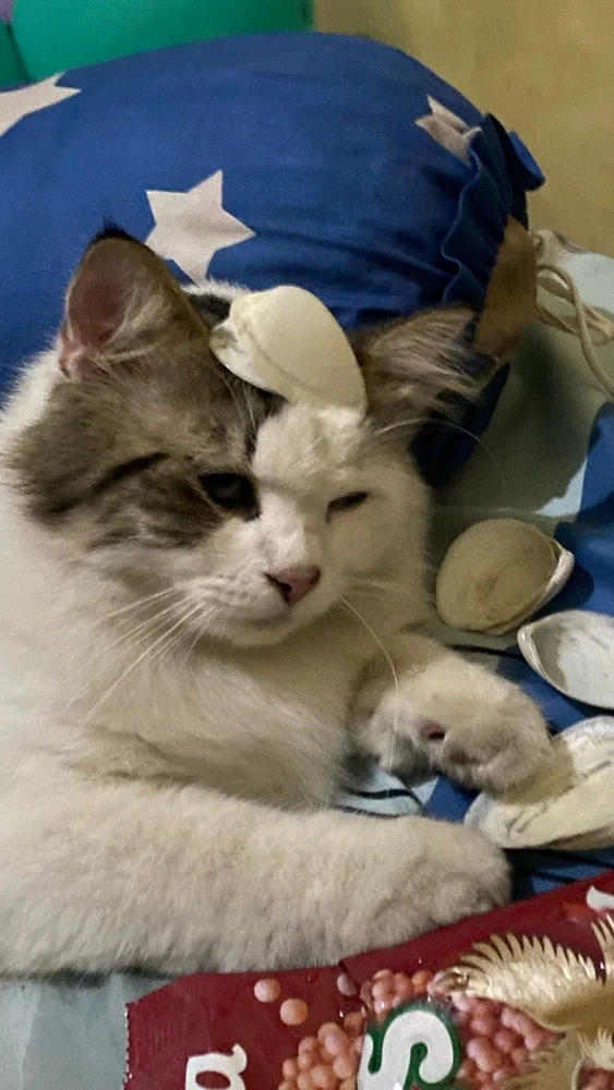 GIF sent inn af Rien