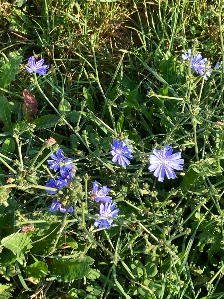 GIF uploaded by β³β΄πππΎπβπππΆπ