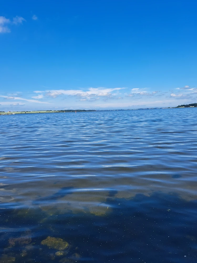 GIF üles laaditud kasutajalt Mussi