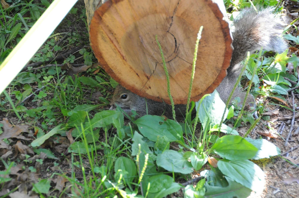 GIF uploaded by Abel