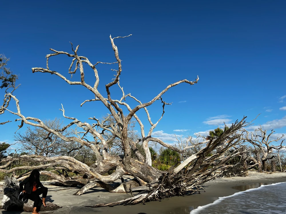 Jekyll Island