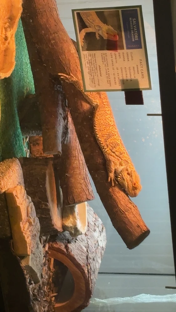 Bild hochgeladen von Desiree