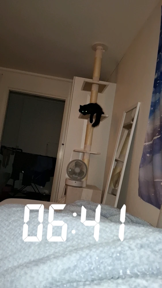 GIF nahrál Kristina