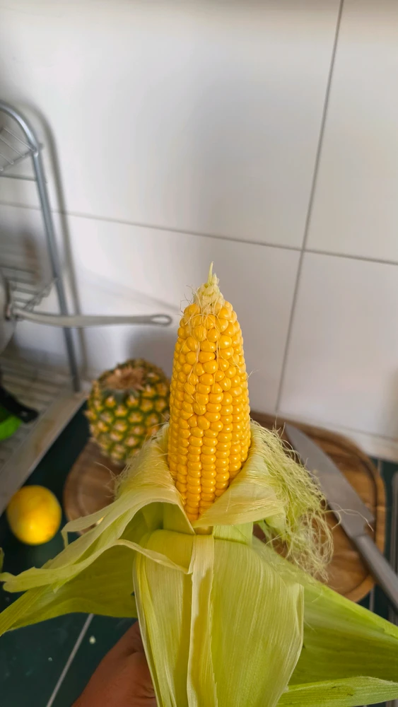 Immaġni mtellgħa minn George