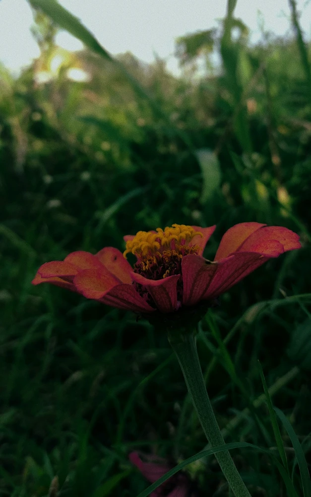 GIF uploaded by Revanlyn