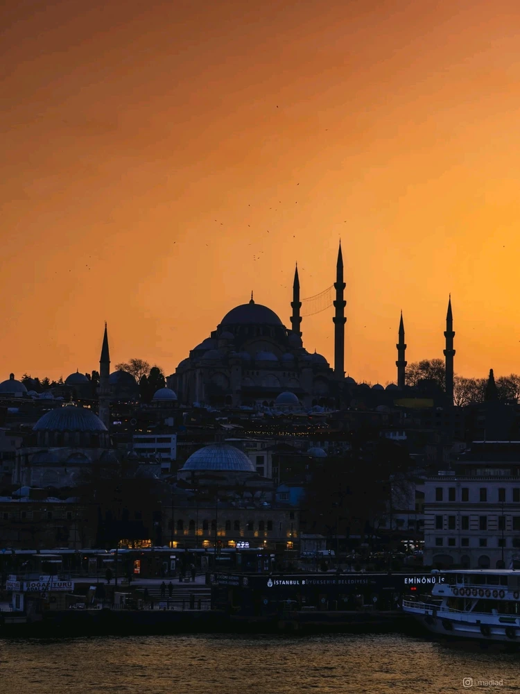 Image uploaded by Suleman