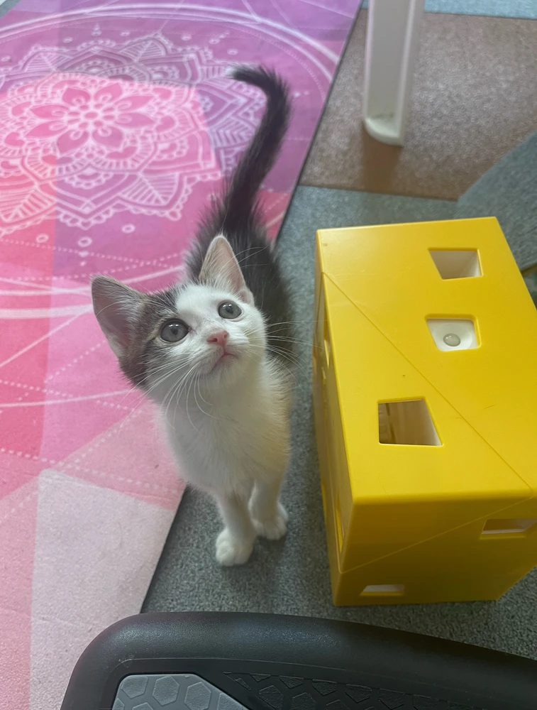 GIF објавен од Tina