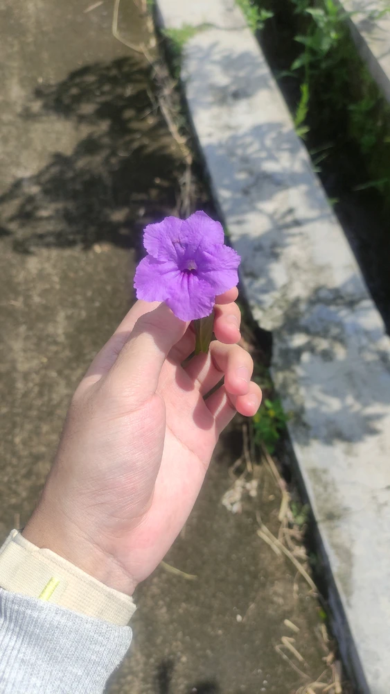 GIF uploaded by Revanlyn