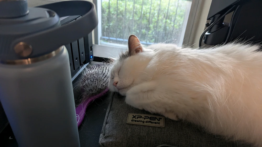 GIF pujat per Nyx