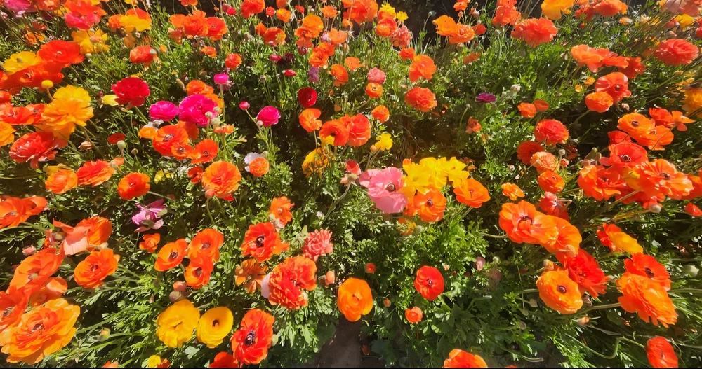 GIF uploaded by Elle