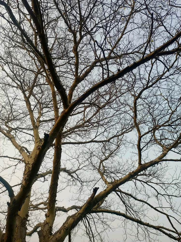 GIF uploaded by Ash