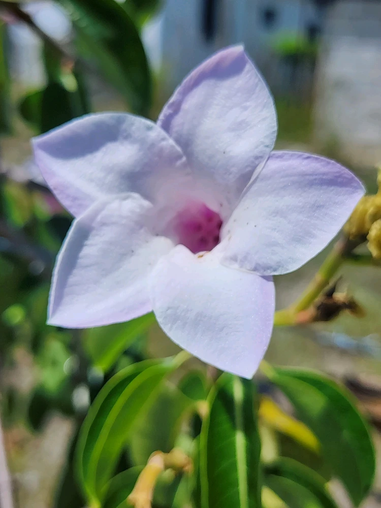 GIF uploaded by Laury