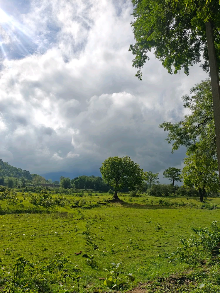 GIF gi-upload ni Zen