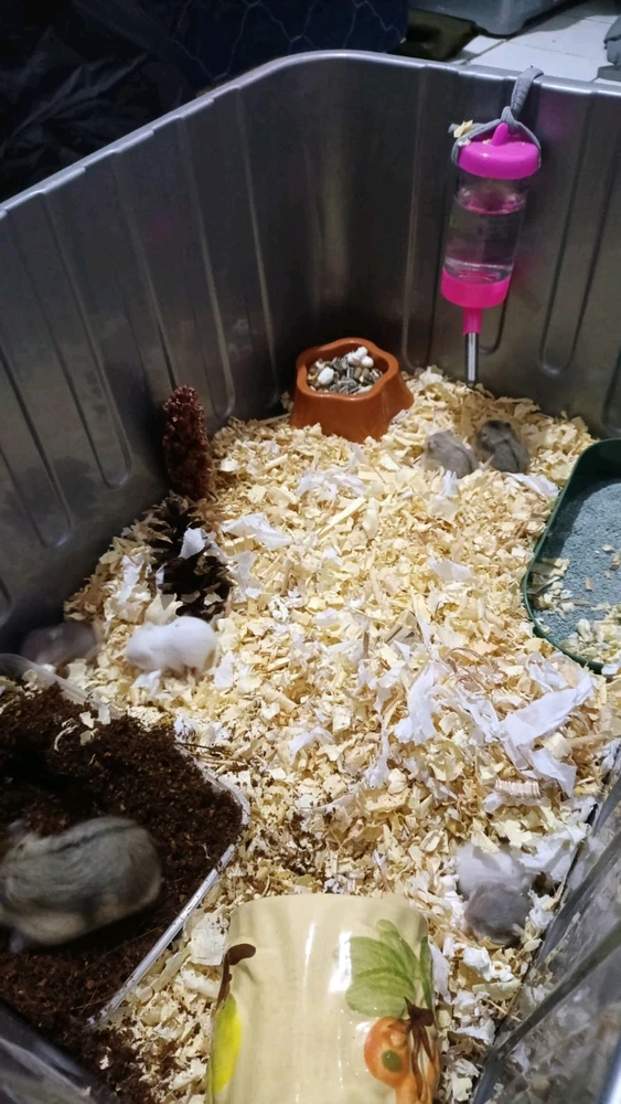 GIF uploaded by Nisai