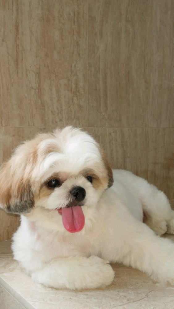 GIF uploaded by Chintya