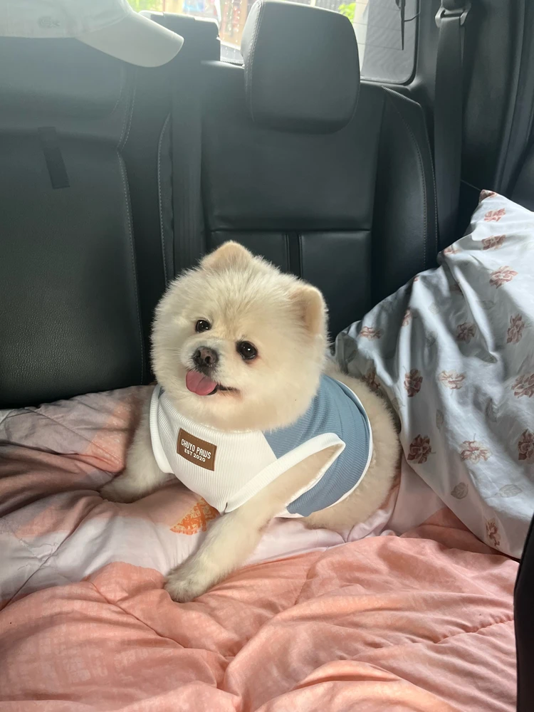 GIF uploaded by Camille