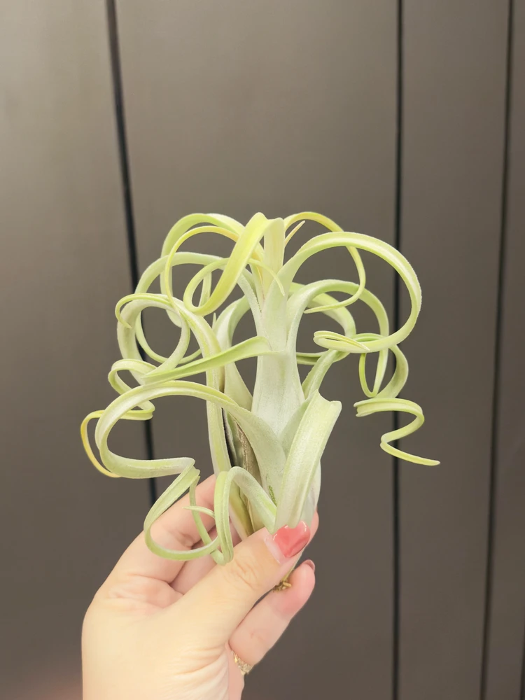 Gabrielle 上傳的 GIF