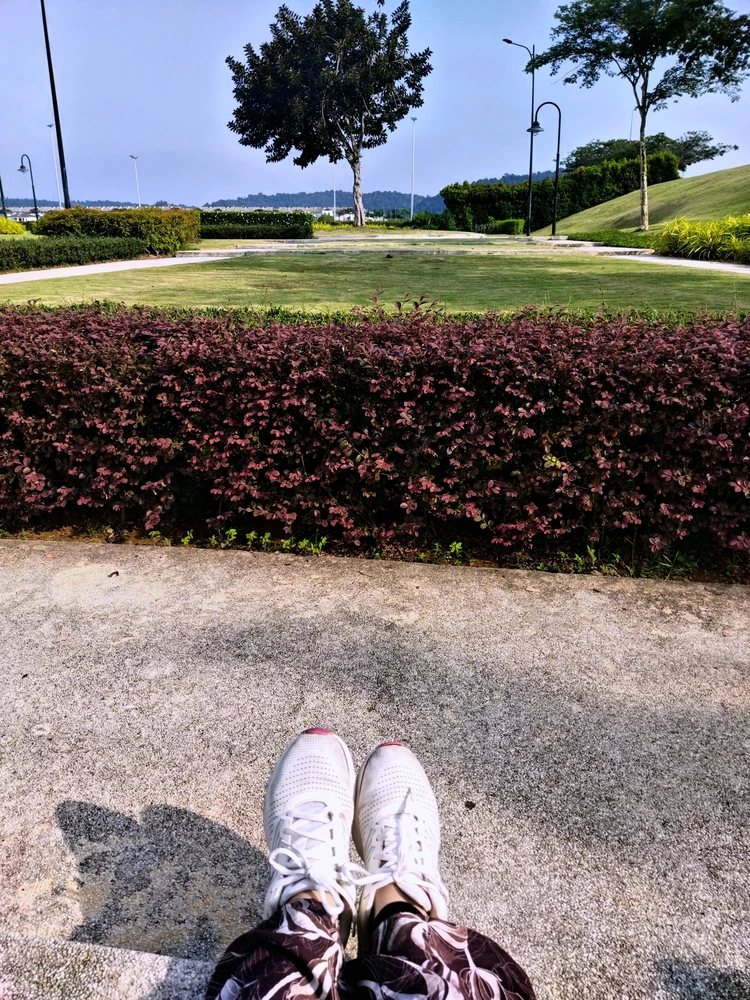 GIF gi-upload ni mexii