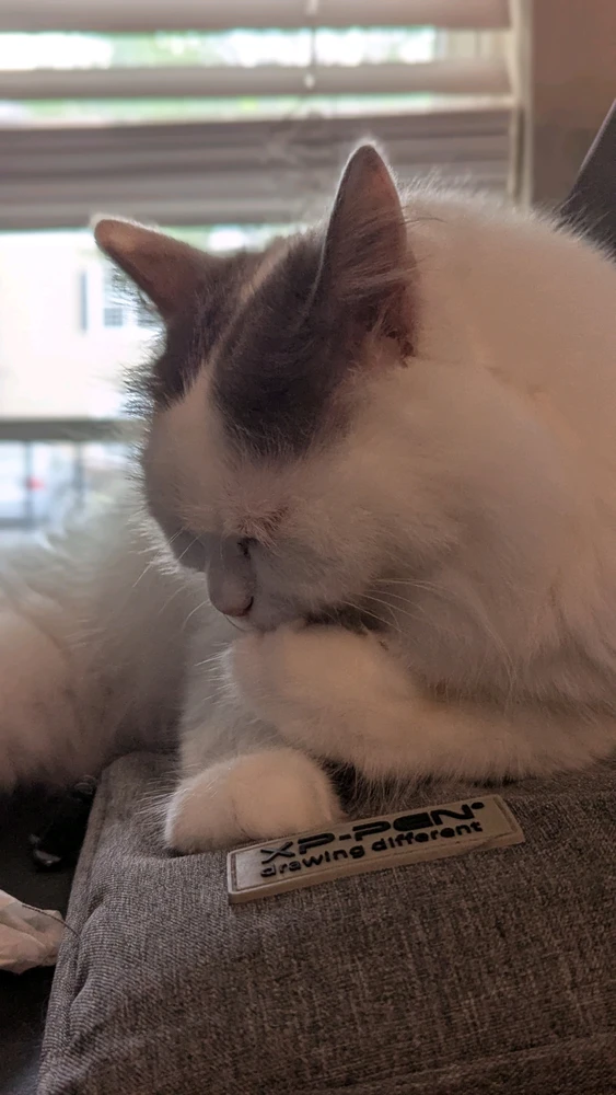 GIF nahrál Nyx