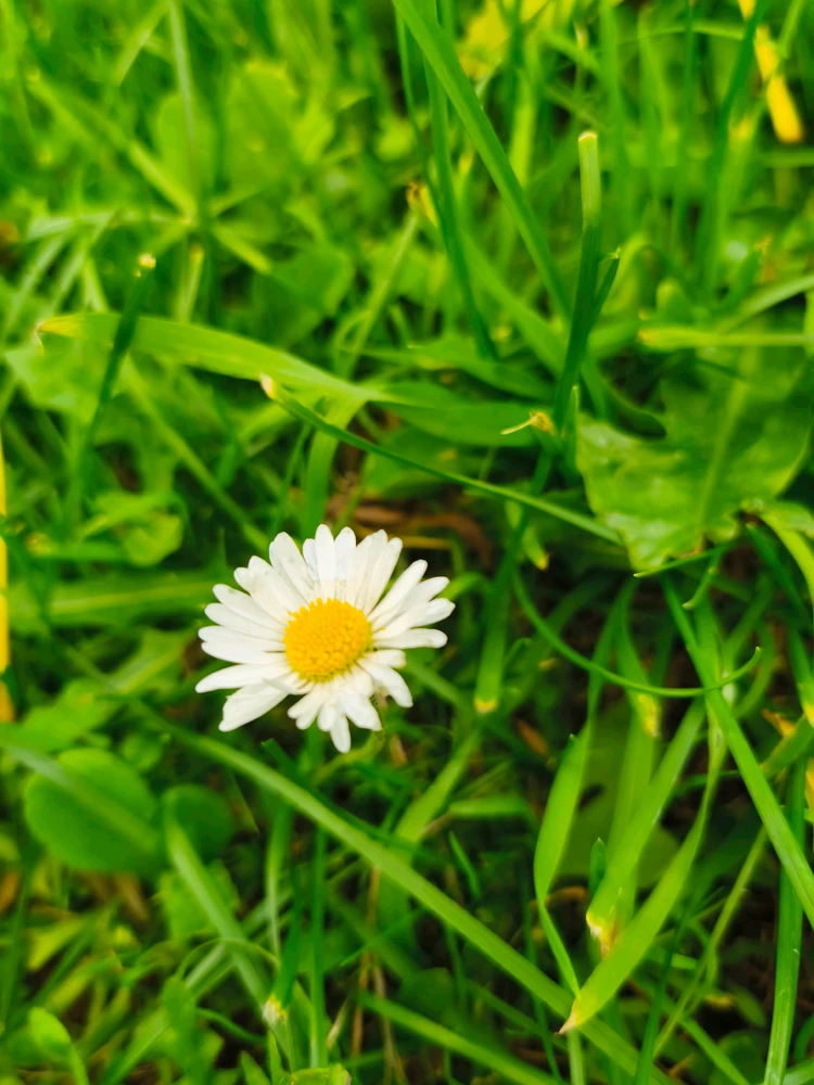Image uploaded by Jhanna