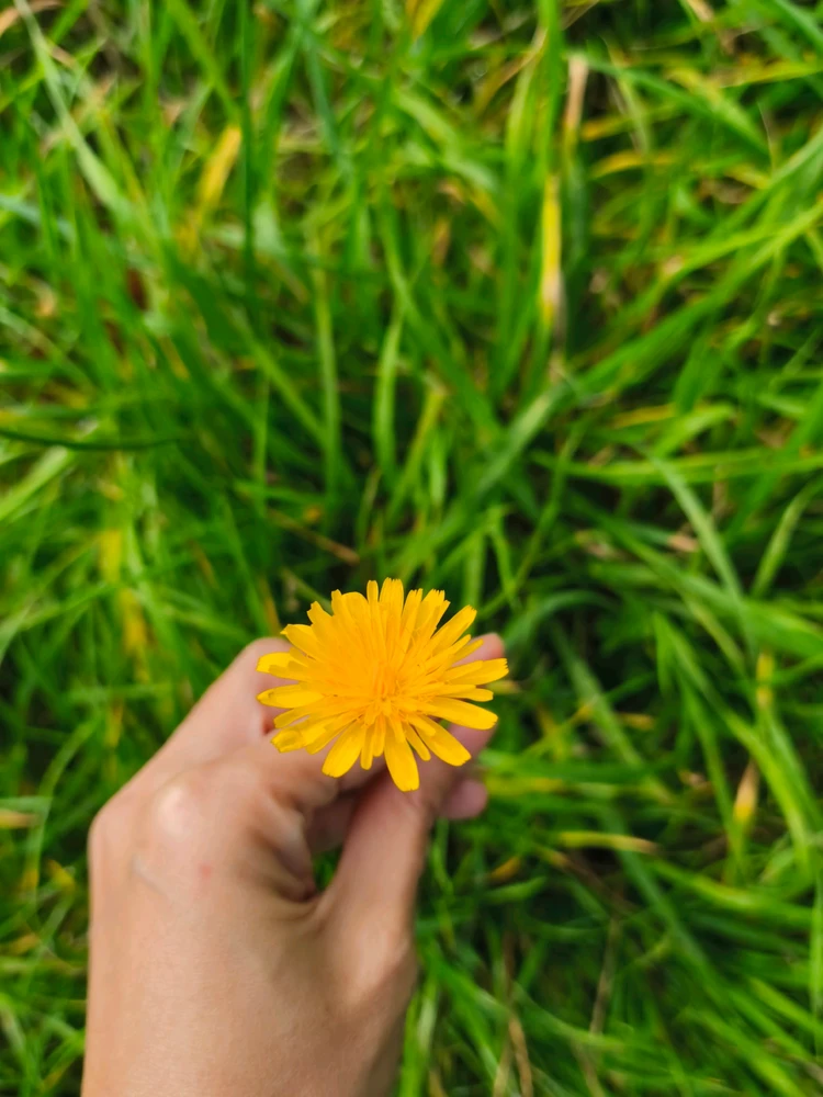 Image uploaded by Jhanna