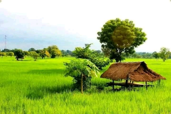 ANNA അപ്‌ലോഡ് ചെയ്ത ചിത്രം