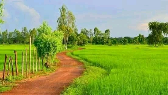 ANNA അപ്‌ലോഡ് ചെയ്ത ചിത്രം