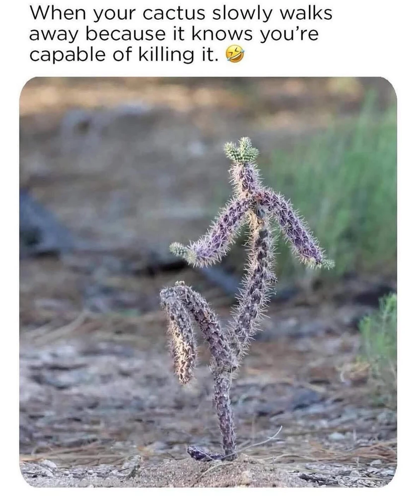 GIF uploaded by Matt