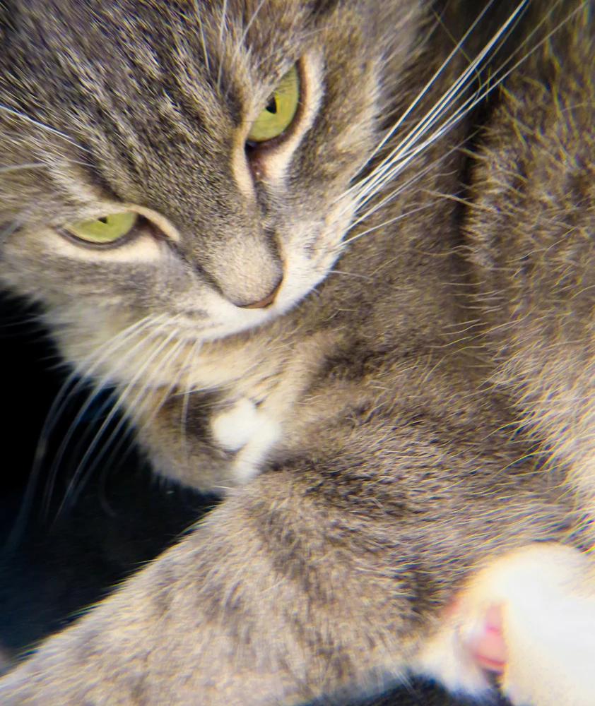 GIF uploaded by Bryan
