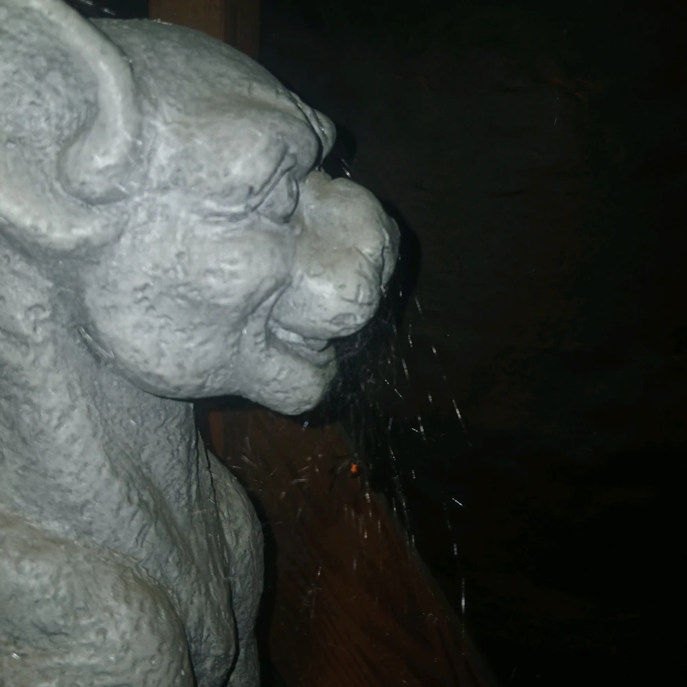 GIF ארויפגעלאדן דורך Vincen