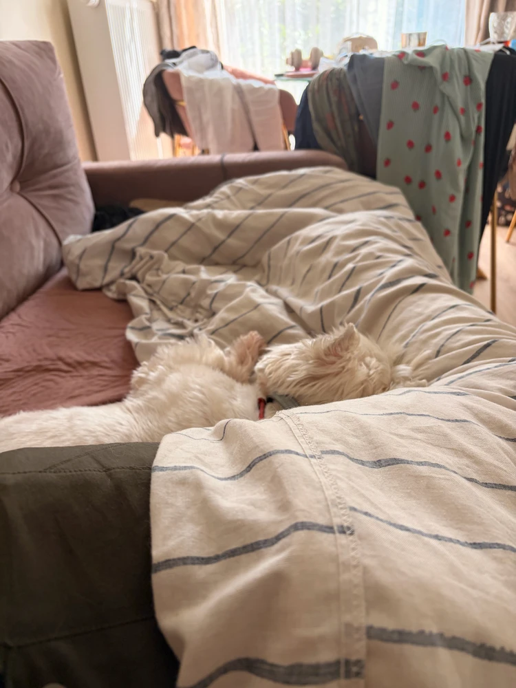 Oskar