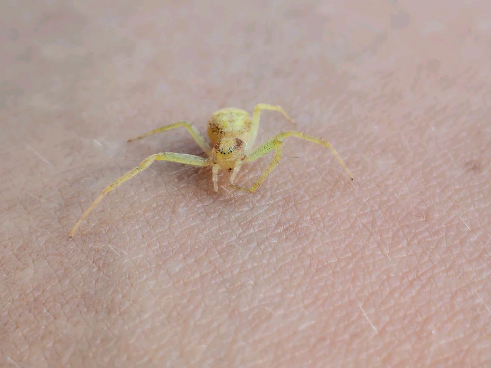 GIF uploaded by MantasChan