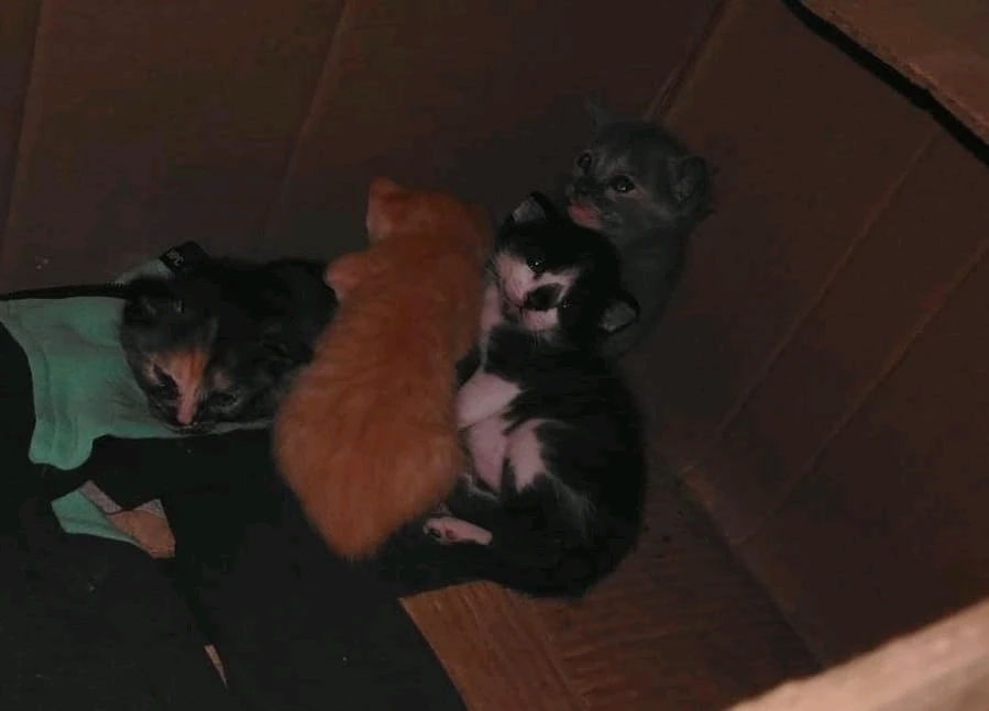 GIF uploaded by Angel