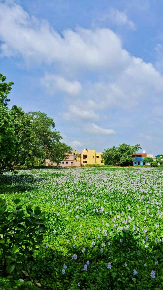 GIF uploaded by Aayush Saxena (Chiku)