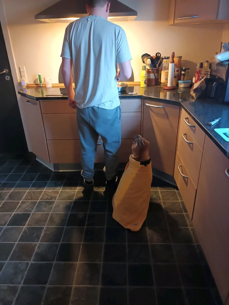Food inspector 