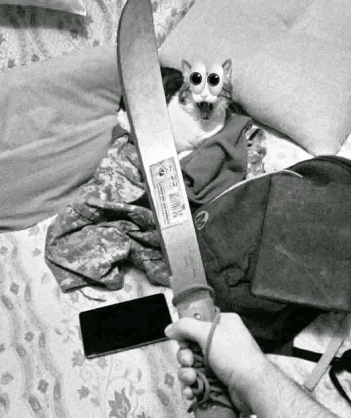 GIF uploaded by Farroway