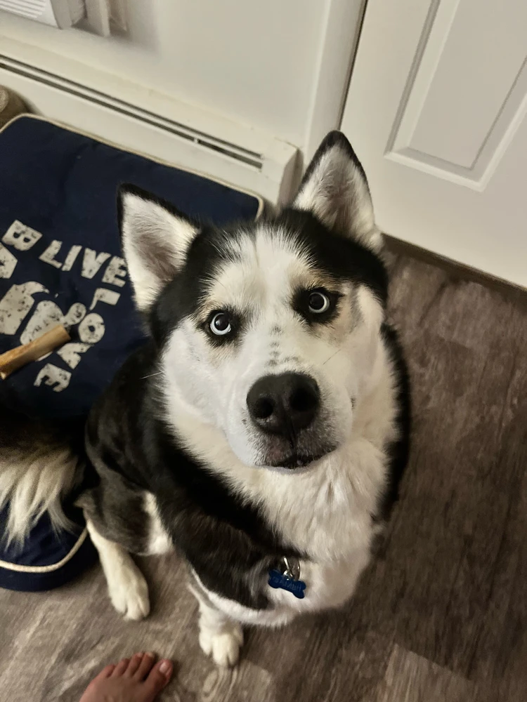 GIF na in-upload ni Nick