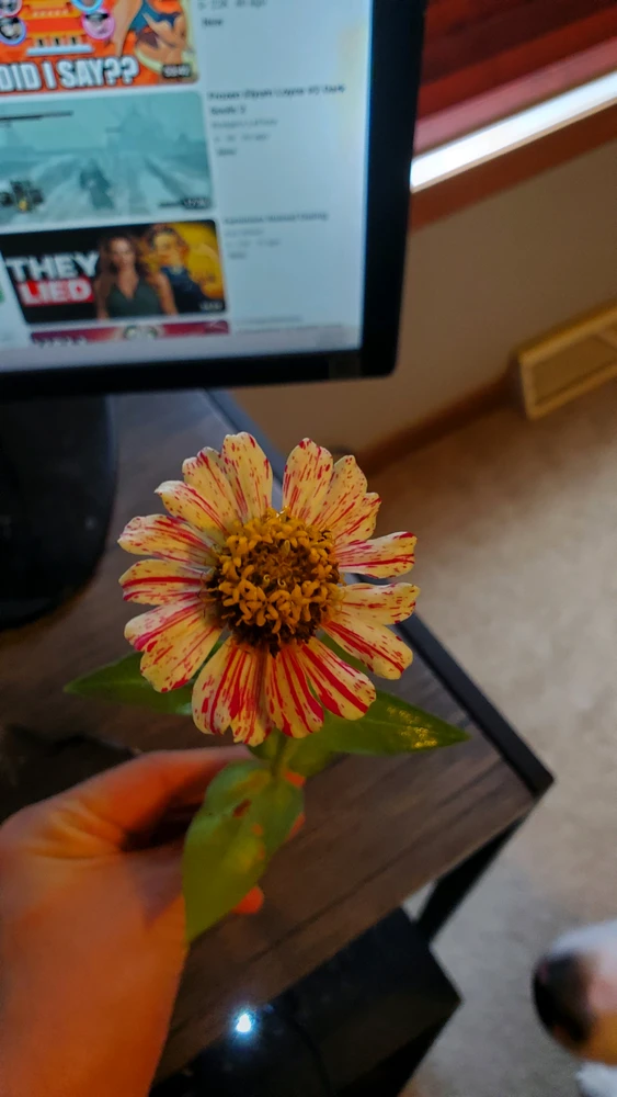 GIF uploaded by Bo