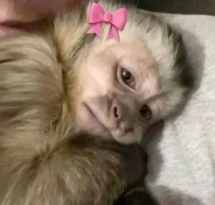 GIF uploaded by Claudia