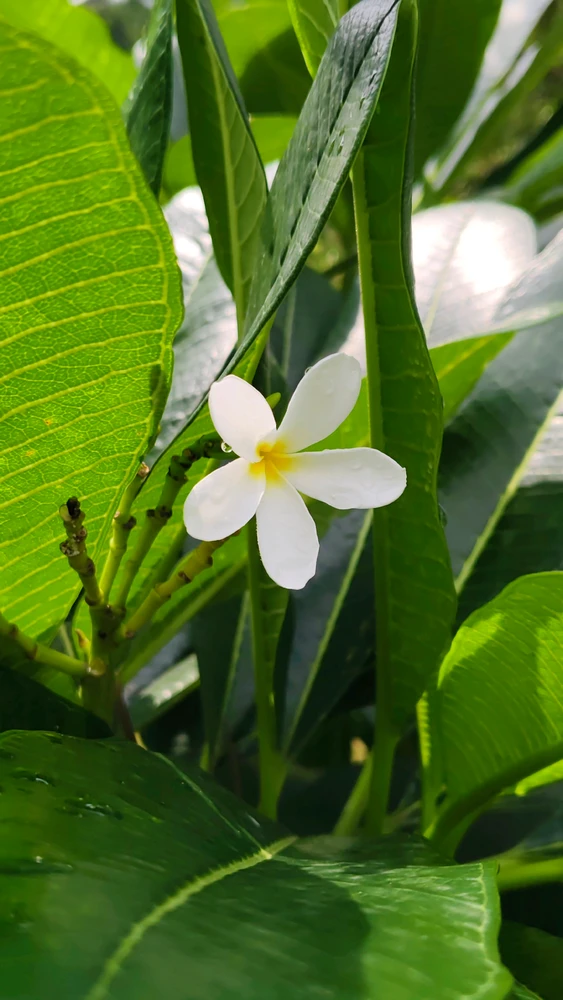 GIF uploaded by RaMaN ThaKur