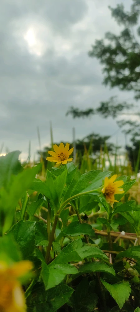GIF uploaded by Revanlyn