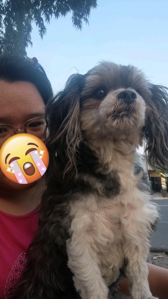 Gi-upload ni Mariska ang hulagway