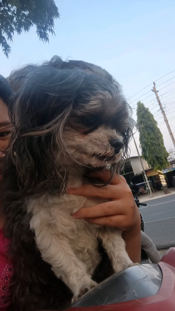Gi-upload ni Mariska ang hulagway