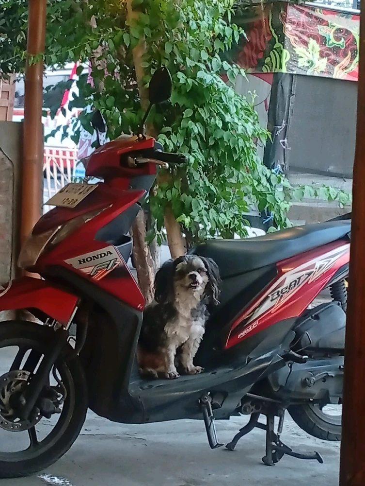 Gi-upload ni Mariska ang hulagway