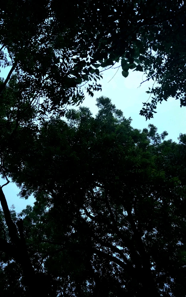 GIF uploaded by Rajaryan Gupta