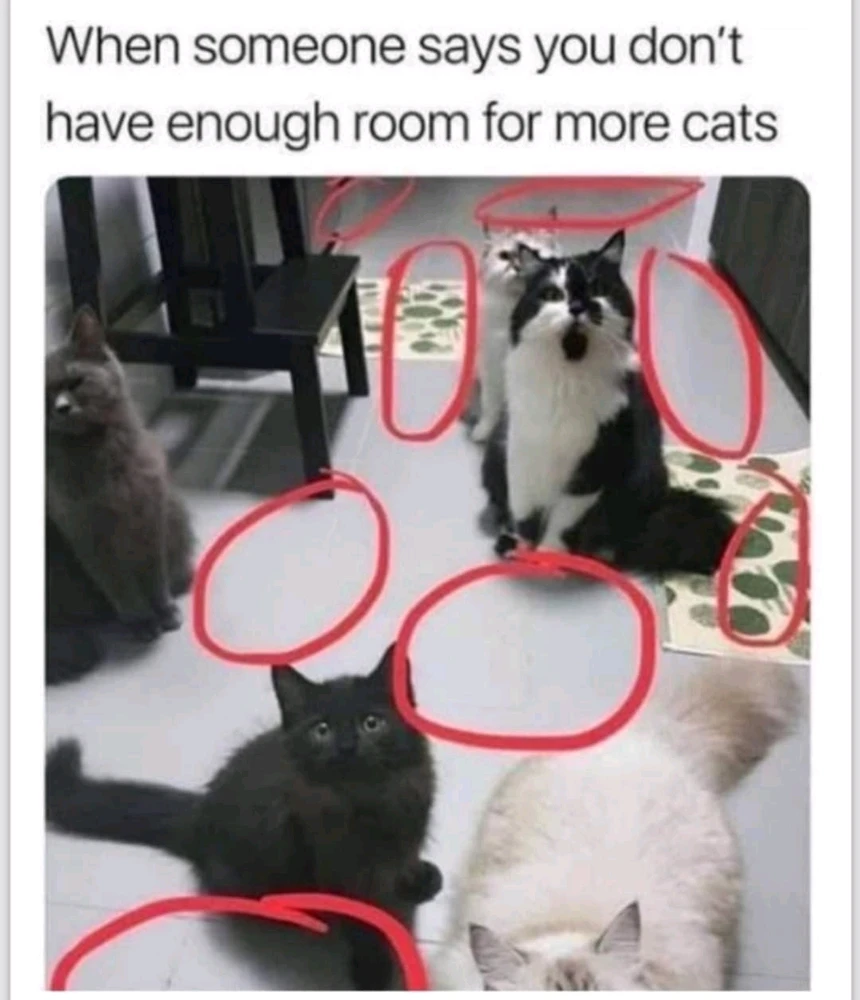 GIF uploaded by Melty